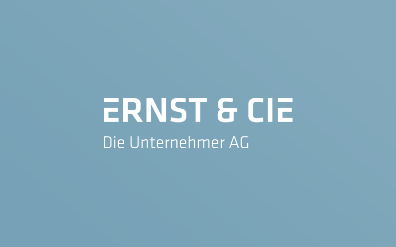 Suchmaschinenoptimierung SEO Ernst & Cie AG Fulda Berlin